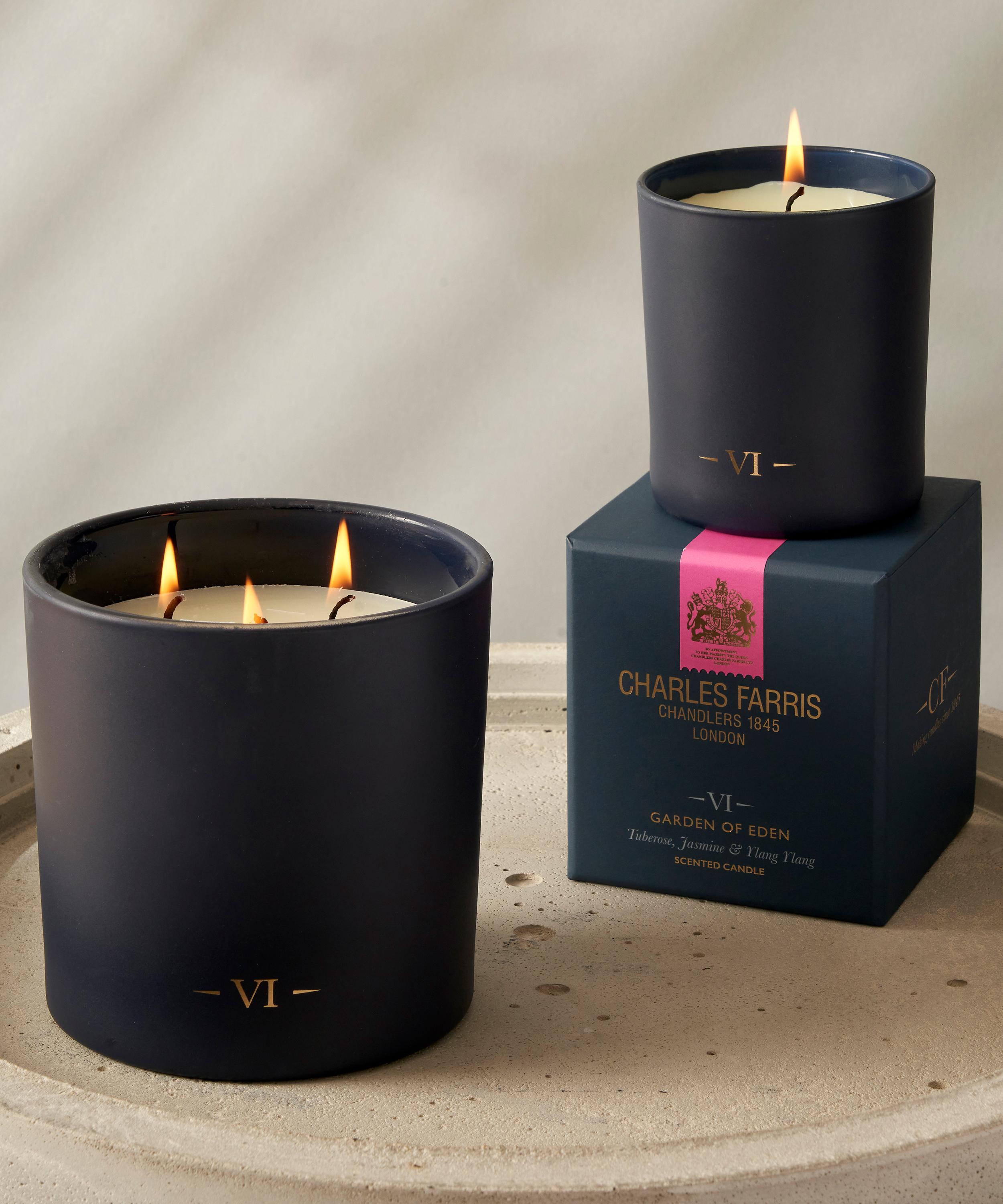 VI Garden Of Eden 3 Wick Candle 640g