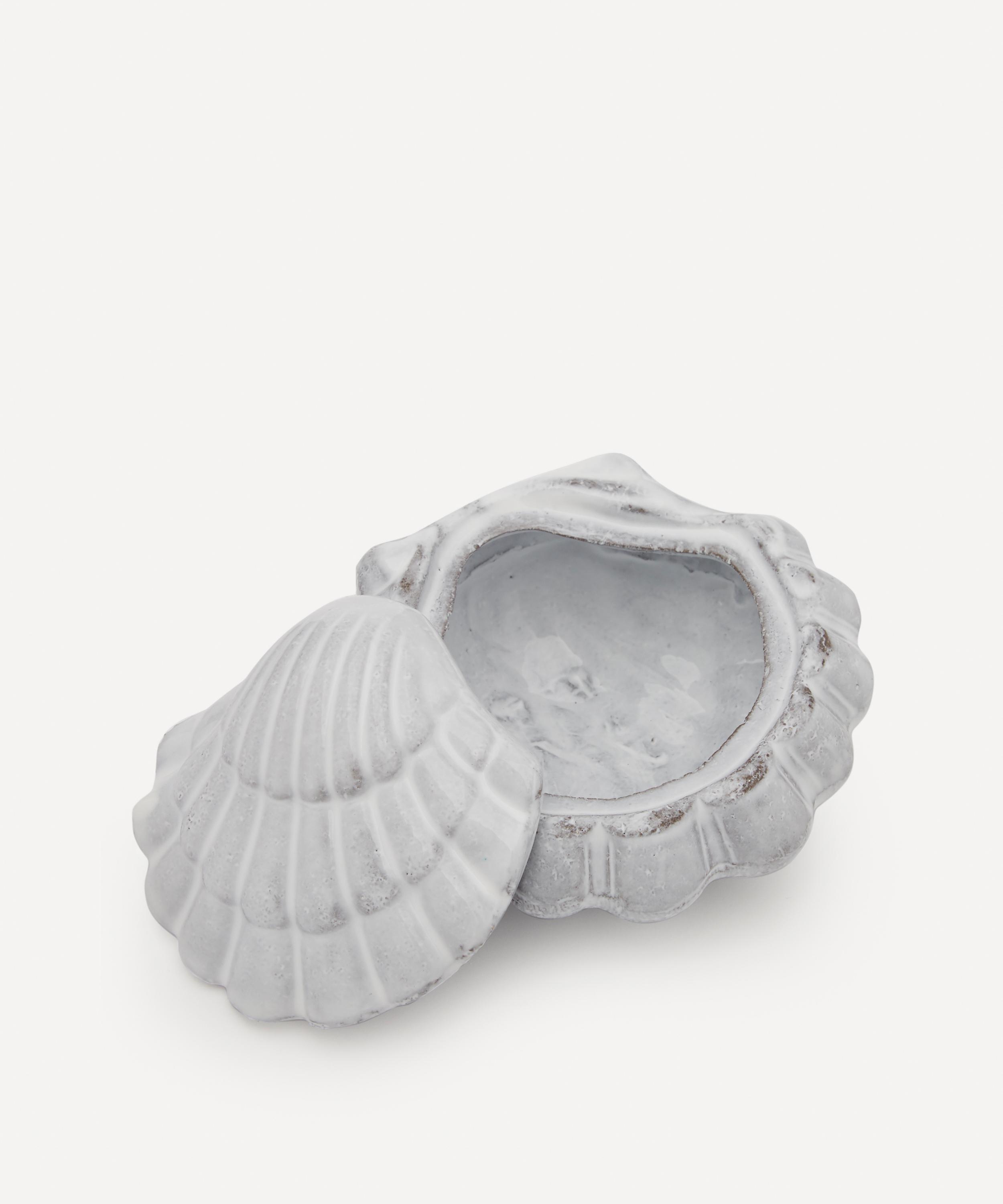Shell Box